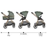 Cangaroo Hydra 2in1 babakocsi zöld