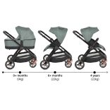 Cangaroo Macan 2in1 babakocsi zöld