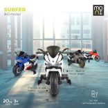 BO Surfer elektromos motor, 20kg-ig, 2 motoros SZÜRKE